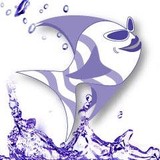 Dancing Fish Design - Graphic Design in Orlando
