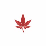 Boast Inc - Sportswear in West Palm Beach