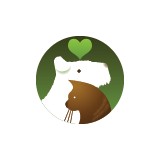 Sandy Paws Veterinary Clinic - Veterinarians/Vets in Saint Petersburg