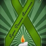 Lyme Awareness Flags - Other in Windermere