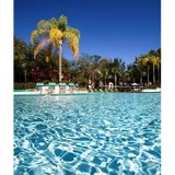 Blue Tree Resort - Tree Services in Orlando