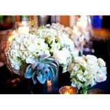 Orange Blossoms Florals - Florists in West Palm Beach