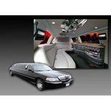 Cool Limo Inc. - Limos in Orlando