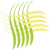 Pilates Space Florida - Gyms in Boca Raton