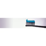 Kathleen M  Sheridan DMD - Dentists in Orlando