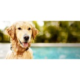 Emergency Pet Hosp of Orlando - Pet Stores in Orlando
