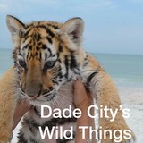 Stearns Zoological Rescue - Other in Dade City
