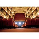 Doyle Worldwide Entertainment - Talent Agencies in Orlando