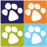 4 Paws House Calls, LLC - Pet Services in Orlando