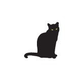 Care Feline Rescue Inc - Pet Services in Orlando