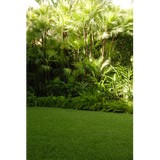 Island Environmental Pest - Pest Control in West Palm Beach