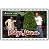 Ergle Christmas Tree Farm - Other in Dade City