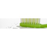 Nash Bernard G DDS - Dentists in Orlando