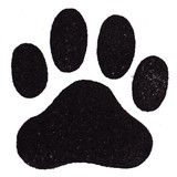 Camp Canine Country Club & Spa - Pet Stores in Boca Raton