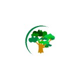 Kelly Outdoor Inc - Tree Services in Kissimmee