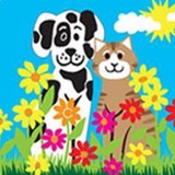 Dallessandro Marianne DVM - Veterinarians/Vets in Boca Raton