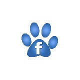 Curry Ford Animal Hospital - Veterinarians/Vets in Orlando