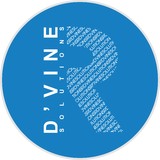 RD'Vine Solutions Inc - Web Design & Development in Orlando