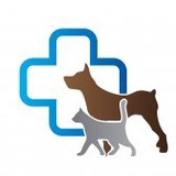 Kindred Spirits Animal Clinic - Veterinarians/Vets in Orlando