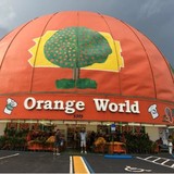 Orange World - Gift Shops in Kissimmee