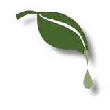 Greenway Painting LLC - Painters & Decorators in Spring Hill