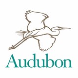 Audubon-FL National Center Birds-Prey - Other in Maitland