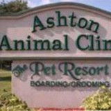 Ashton Animal Clinic - Veterinarians/Vets in Sarasota