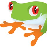 Treefrog Cinegraphix, LLC - Web Design & Development in Altamonte Springs
