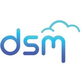 Dsm Technology Consultants - Business Consulting in Lakeland