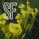 Sandra Friend - Business Consulting in Sanford