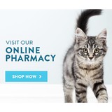 Adey Robert P DVM - Veterinarians/Vets in Winter Haven