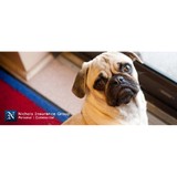 Nichols Insurance Group - Insurance in Lakeland