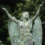 Angelic Chiropractic - Chiropractors in Winter Haven
