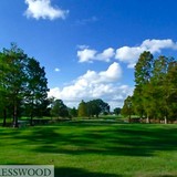 Cypresswood Golf & Country Clb - Restaurants in Winter Haven