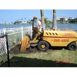 Randy's Stump Removal - Tree Services in Largo