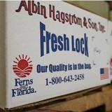 Hagstrom Albin & Son Inc Shop - Other in Pierson