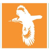Spanish Trail Playhouse Inc - Other in Chipley