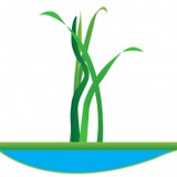 Midcoast Lawn Management Inc - Lawn Services in Gulf Breeze