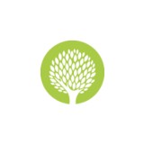 Southern Tree Service - Tree Services in Tarpon Springs