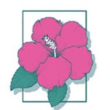 Johnson Crim Linda J DDS - Dentists in Palm Harbor