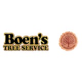 Boen's Tree Service - Tree Services in Dunedin