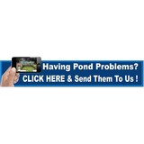 Living Waters Pond & Garden - Landscape Architects in Venice