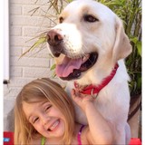Mcwilliams Donna DVM - Veterinarians/Vets in Lakeland