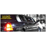 Central Florida Transtours, LLC - Taxis & Mini Cabs in Longwood