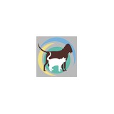 Sarasota Animal Hospital - Veterinarians/Vets in Sarasota