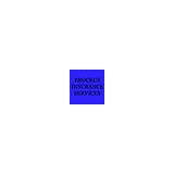 Brockus Insurance Services - Insurance in Largo