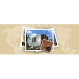 Hattendorf Jerilyn - Solicitors & Lawyers in Sarasota