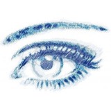 Bluvisione Consulting LLC - Business Consulting in Palm Harbor
