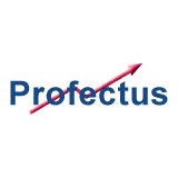 Profectus Inc - Business Consulting in Sarasota