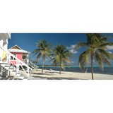 Southwest Real Estate Inc - Other in Dunedin